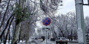 Зимняя сказка: Донецк встретил первый снег