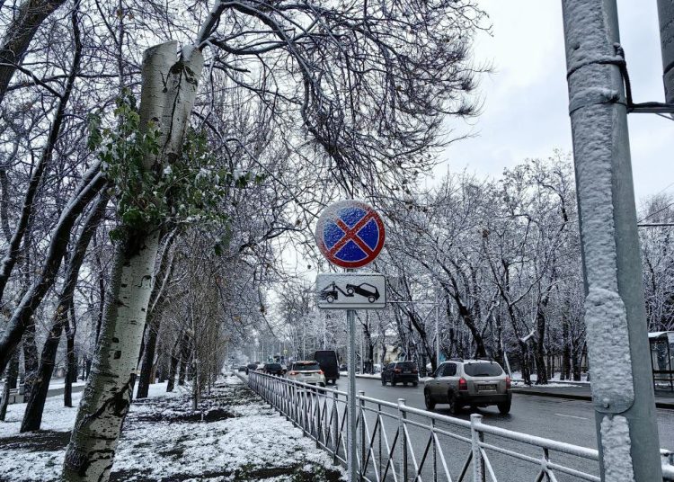 Зимняя сказка: Донецк встретил первый снег