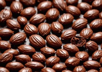 ДНР на пути к рекордному урожаю: соберут более 38 тонн орехов