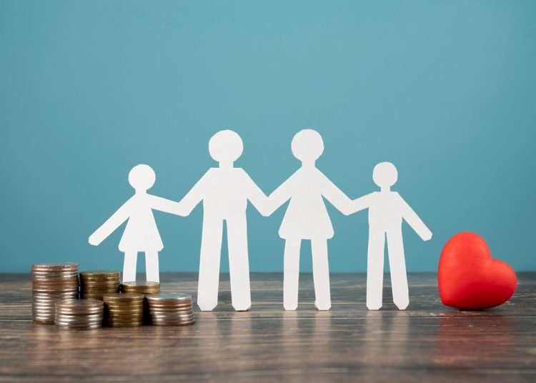 Региональные социальные пособия в ДНР: виды и сроки выплат Региональные социальные пособия в ДНР: виды и сроки выплат