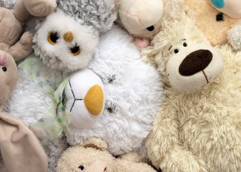 Заминированный хомяк: новый метод боевиков в Курской области