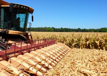 Россия утвердила экспортные квоты для новых регионов