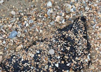 Мазут добрался до Азовского моря