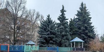 Январь в Донецке останется таким же тёплым Январь в Донецке останется таким же тёплым