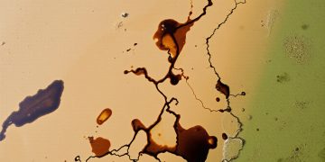 В ДНР следов мазута на побережье Азовского моря снова не нашли