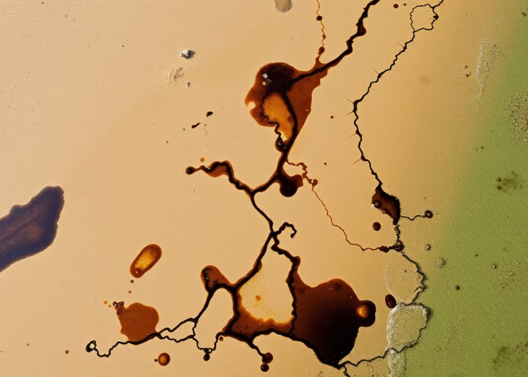 В ДНР следов мазута на побережье Азовского моря снова не нашли