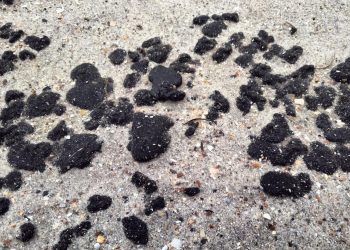 На берегу Черного моря в Одесской области найден мазут