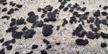 На берегу Черного моря в Одесской области найден мазут