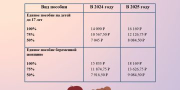 Как изменился размер единого пособия в ДНР в 2025 году Как изменился размер единого пособия в ДНР в 2025 году