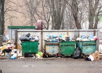 В ДНР ввели новые штрафы за мусор