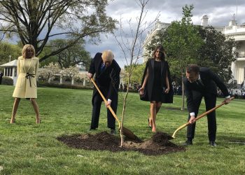 Трансатлантический союз под угрозой: Макрон не убедил Трампа