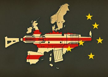 Боец ВС РФ отбил украинский FPV-дрон прикладом автомата