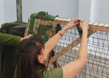 Налоговая — фронту: сотрудники УФНС ЛНР плетут масксети для бойцов