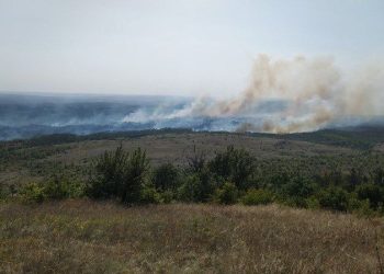 В лесах ДНР начался пожароопасный сезон