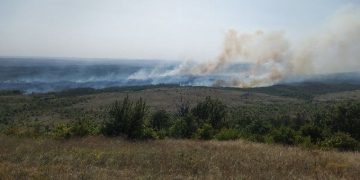 В лесах ДНР начался пожароопасный сезон