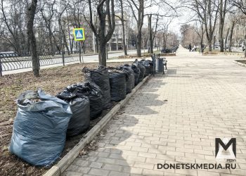 Субботники в ДНР: уборка пунктов пропуска и высадка деревьев