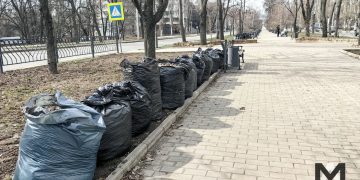 Субботники в ДНР: уборка пунктов пропуска и высадка деревьев