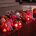 Луганская молодёжь почтила память жертв теракта в «Крокус Сити Холле»