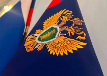 Почти по Ильфу и Петрову: Сколько может принести уход за старушками