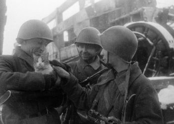 Ожившая фотография: Советские бойцы с кошкой на руках в Сталинграде