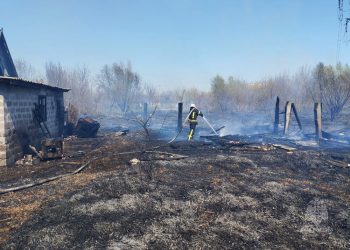 Пламя подступало к домам — в Мариуполе спасли частный сектор Пламя подступало к домам — в Мариуполе спасли частный сектор