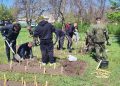Геоглиф «80 лет победы» высадили сотрудники СК РФ