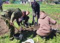 Геоглиф «80 лет победы» высадили сотрудники СК РФ