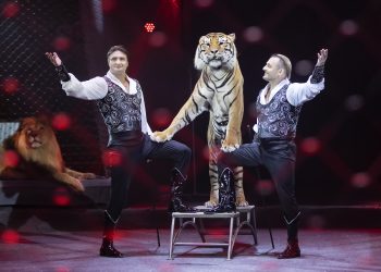 Легенды цирка «Космос» и их связь с Донбассом: интервью с Эдгардом Запашным