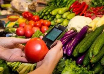 Ветеринары проверили овощи на рынках Мариуполя