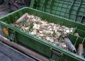 Мотопробег памяти: Вечный огонь из Волгограда доставлен на Саур-Могилу