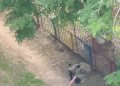 В Харькове боевик ВСУ открыл стрельбу возле детской площадки