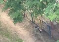 В Харькове боевик ВСУ открыл стрельбу возле детской площадки