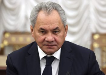 Шойгу поблагодарил военных КНДР за помощь в освобождении Курской области