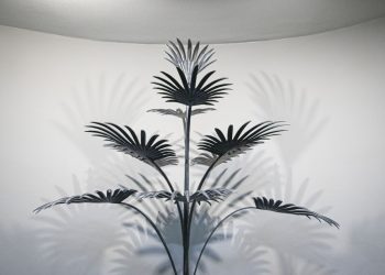 Юзовка – топливное сердце России: Донецкий музей получил президентский грант