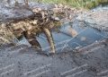 Удар по мосту в районе Андреевка-Клевцово парализовал логистику ВСУ