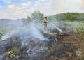 Природный пожар в заповеднике: МЧС ДНР три часа сдерживало стихию в Хомутовской степи