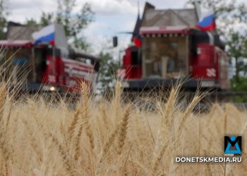 Хлеба хватит всем: Республика приступила к уборке урожая-2025