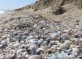 Открывая новый Донбасс: куда поехать и что увидеть Открывая новый Донбасс: куда поехать и что увидеть