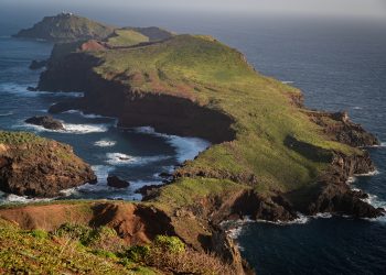 Россия не отдаст свои земли: Америка хочет купить Командорские острова для слежки за Китаем