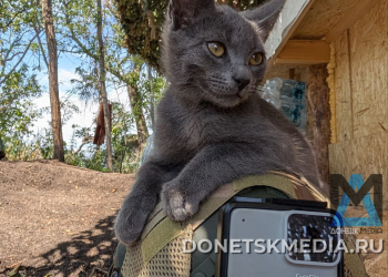 ГВ «Центр» теснит ВСУ: бои за Родинское и продвижение к Новопавловке