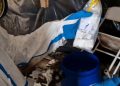 ВСУ готовили химатаку на Донбасс: ФСБ нашла схрон с хлорпикрином