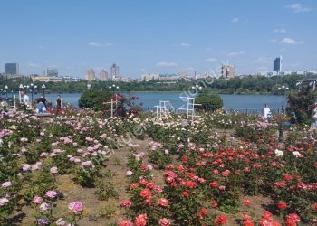От подготовки к школе до водоснабжения и мероприятий: дайджест новостей за 18 июля