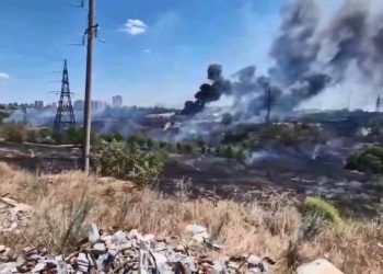 Крупный пожар в Мариуполе: огонь охватил Зинцеву балку, пожарники предотвратили угрозу жилым домам