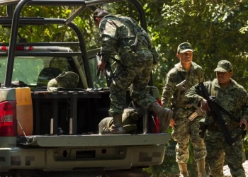 Мексиканские картели используют конфликт на Украине как «академию убийств»: Боевики учатся работе с БПЛА в рядах ВСУ