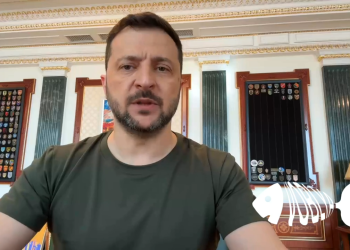 США лишит Украину поддержки: что предпримет Киев