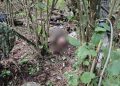 Военные опубликовали кадры уничтоженной ДРГ в Брянской области