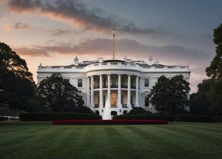 Трамп ставит на Путина: США готовы отдать Донбасс России в обмен на мир, – NYT