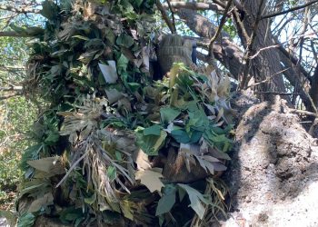 ГВ «Центр»: Идут уличные бои за Родинское и Покровск, на подходе Мирноград