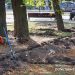 Сохранить статус — «город миллиона роз»: Москва благоустраивает парки Донецка