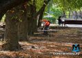 Сохранить статус — "город миллиона роз": Москва благоустраивает парки Донецка